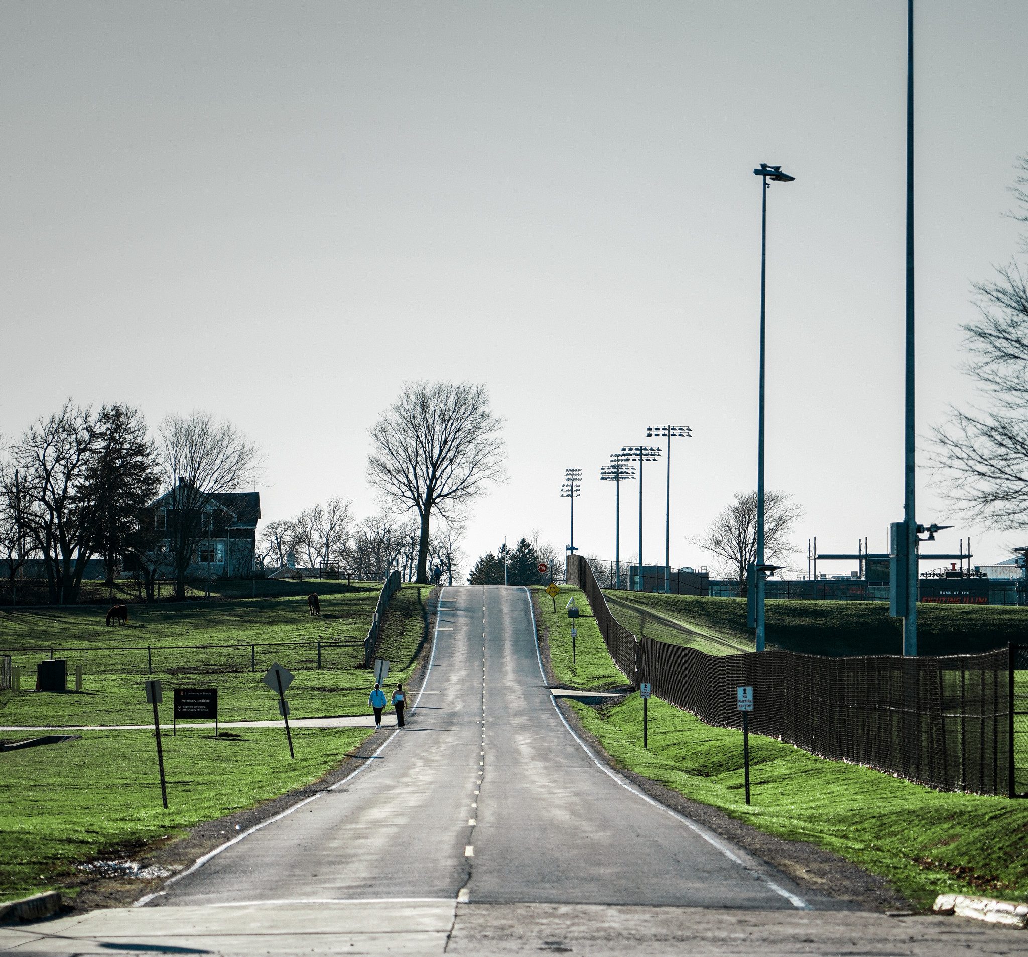 Campus road stretching into distance