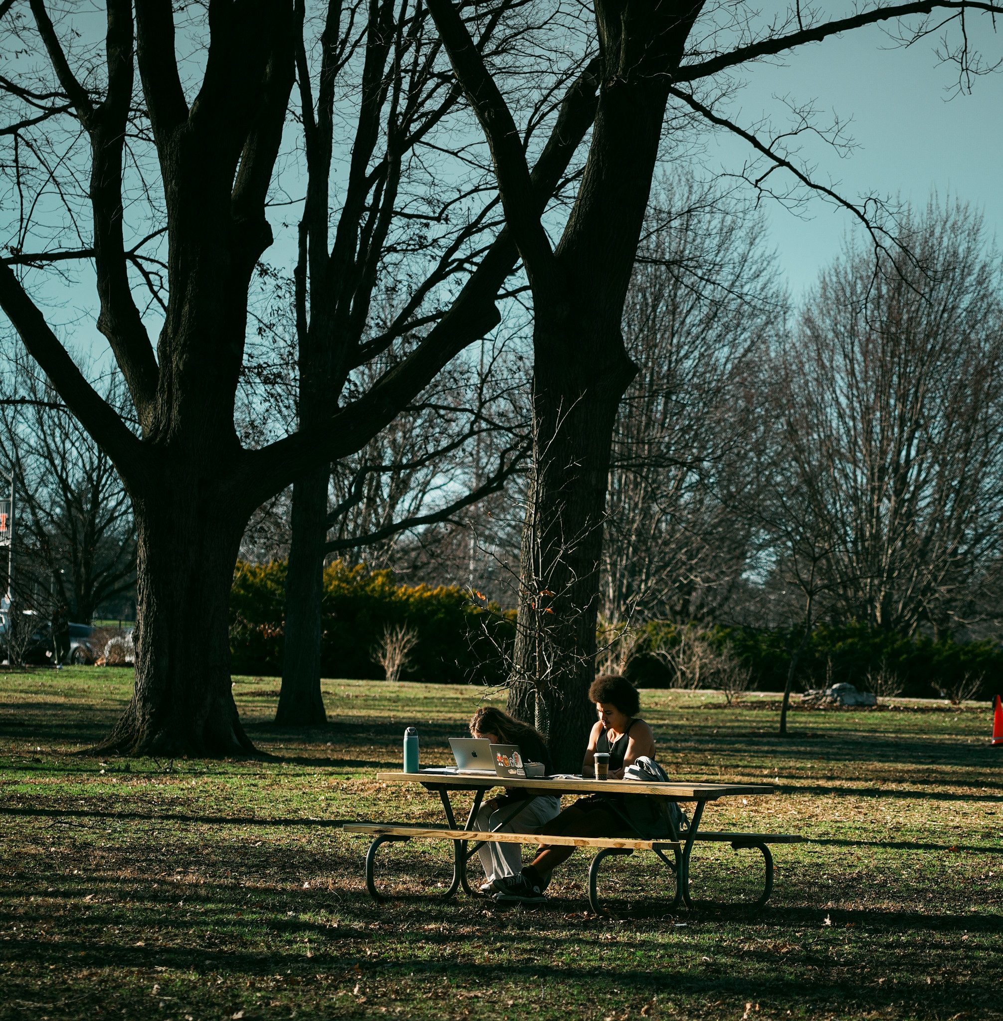 Picnic bench under trees